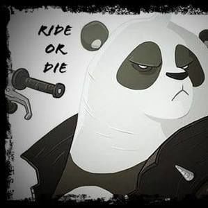 Meet your Posher, Kenneth